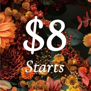 ✨$8 Unlisted Starts✨